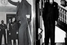 Dünyanın En Uzun Erkekleri ve Kadınları Belli Oldu! Şaşırtan Liste...