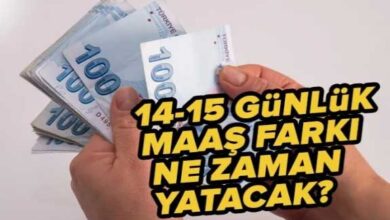 Uzman İsim Tarih Verdi: Memurların 14 Günlük Maaş Farkı İçin Açıklama